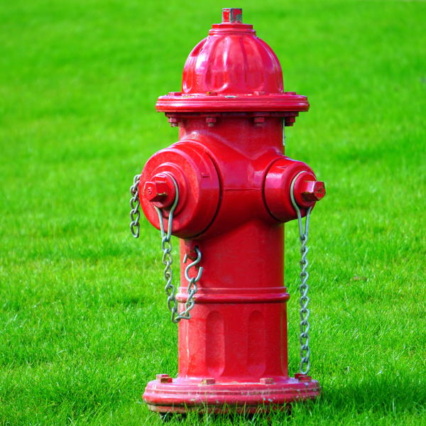 des Tages American States Water Company