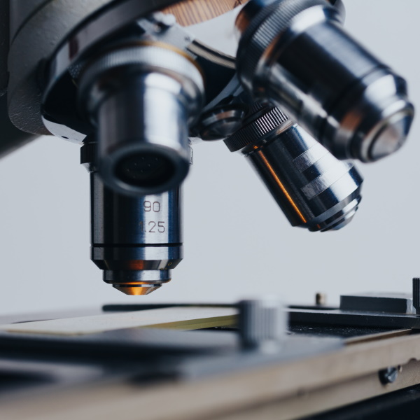 Life Sciences Aktie des Tages Laboratory Corporation of America